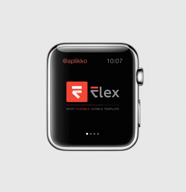 Flex Watch Pro